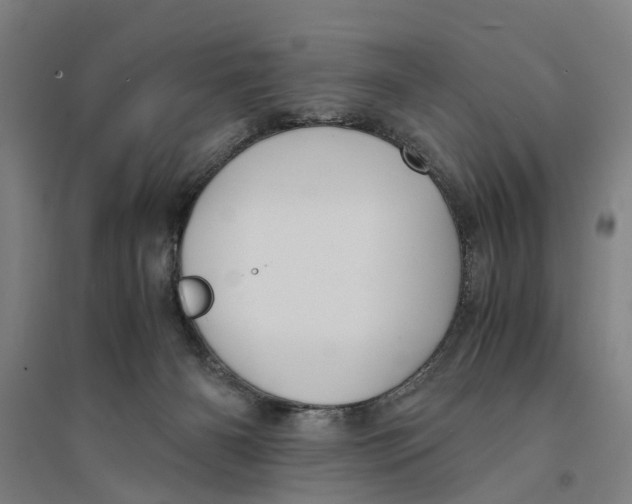 X0000094370126200711301458