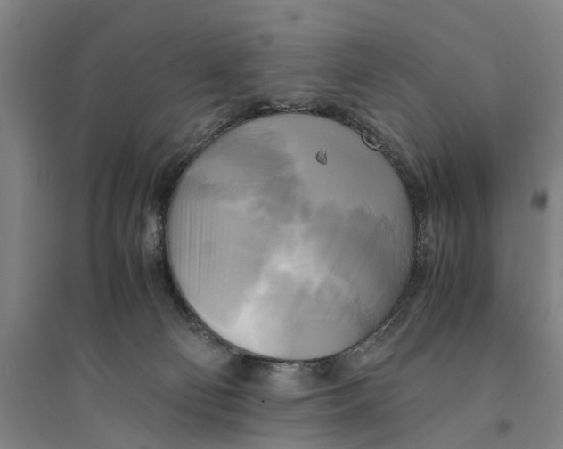 X0000094370130200711301458