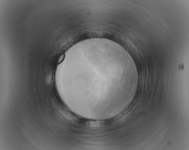 X0000094370134200711301458