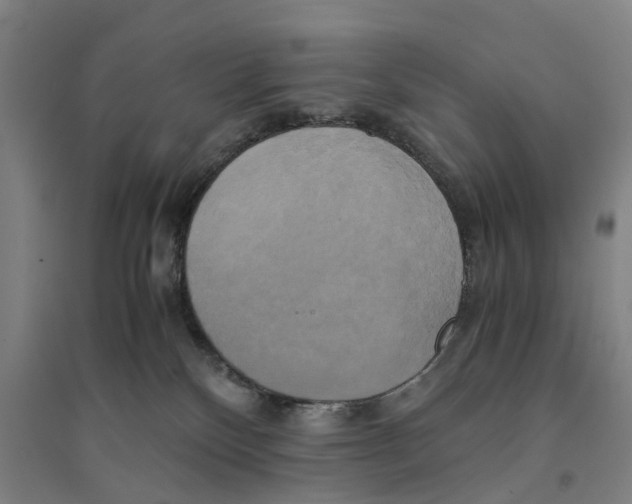 X0000094370136200711301458