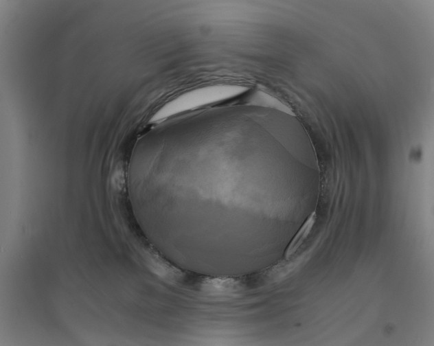 X0000094370137200711301458