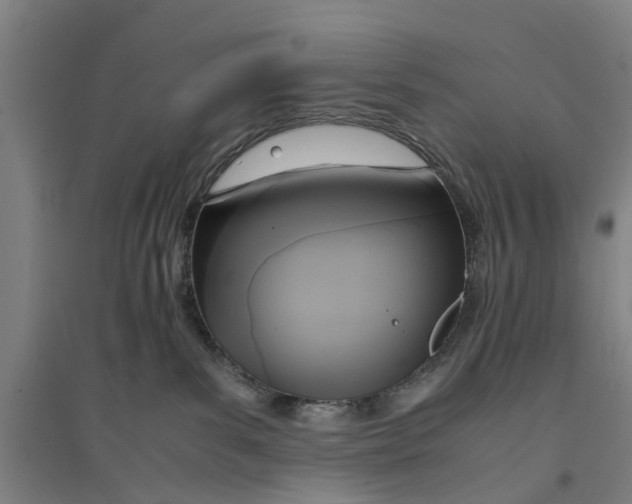 X0000094370139200711301458