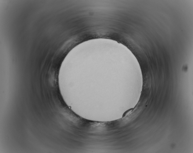 X0000094370140200711301458