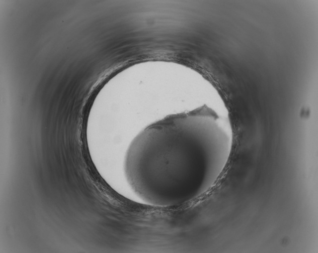 X0000094370146200711301457