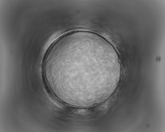 X0000094370151200711301457