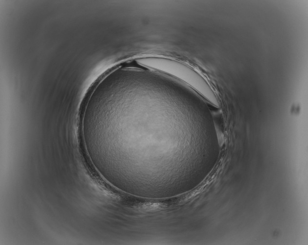 X0000094370152200711301457