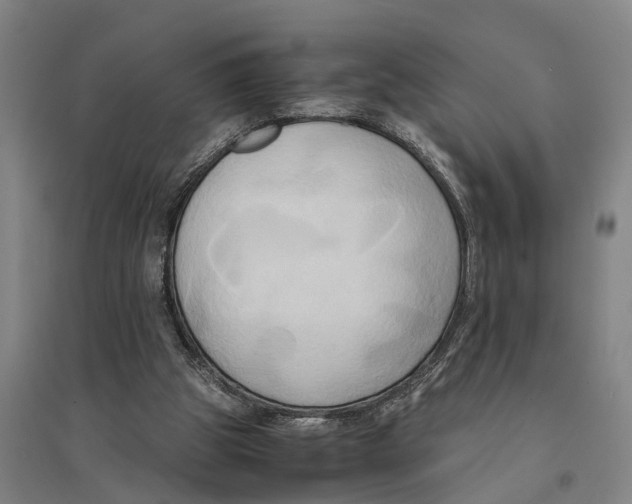 X0000094370153200711301457