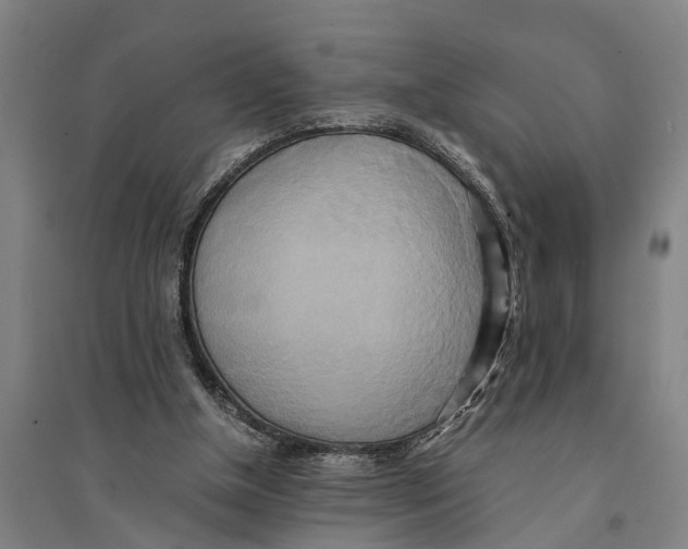 X0000094370154200711301457