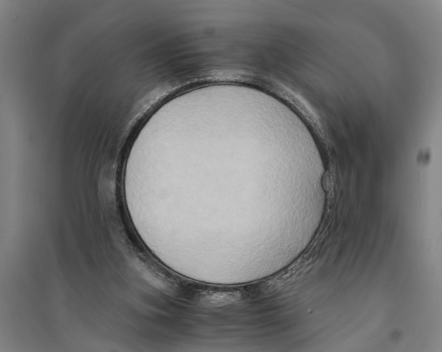 X0000094370155200711301457