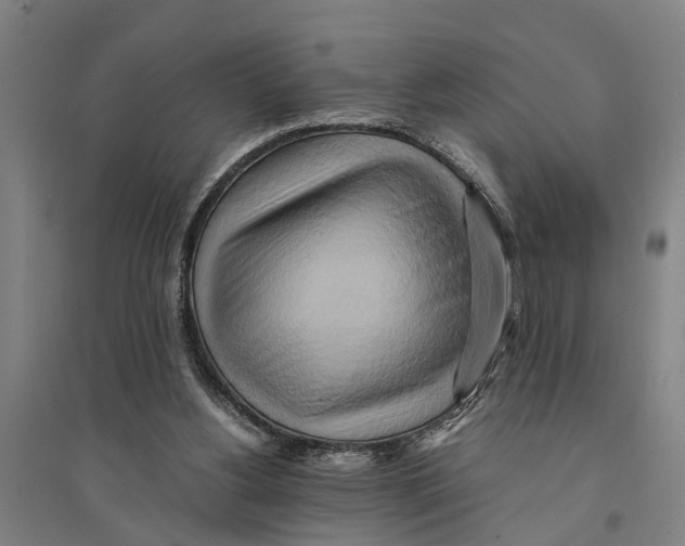 X0000094370156200711301457