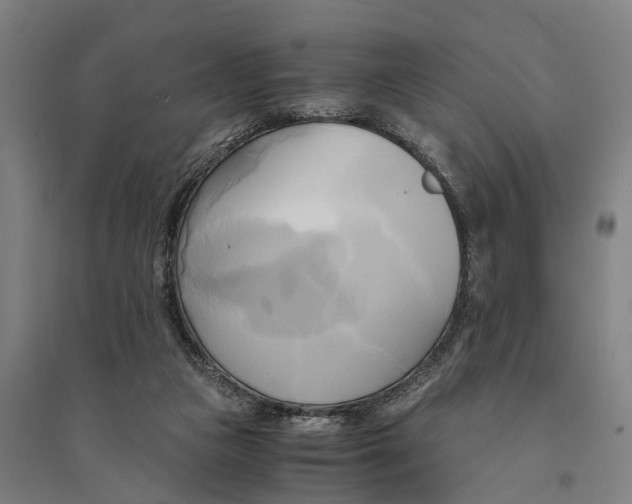 X0000094370161200711301457