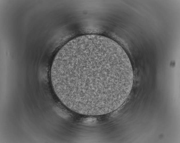 X0000094370162200711301457