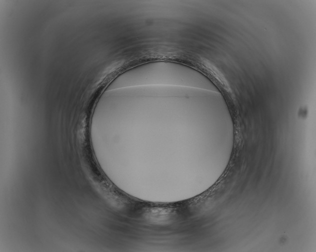 X0000094370163200711301457