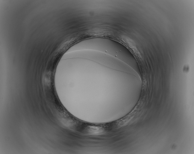 X0000094370167200711301457