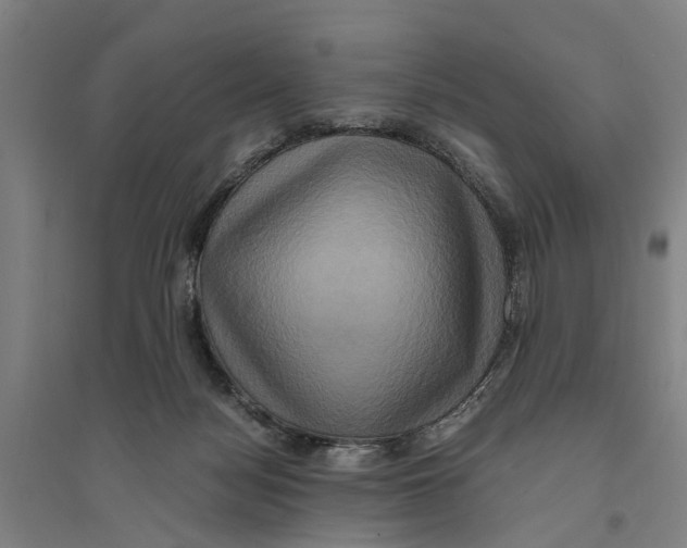 X0000094370172200711301457