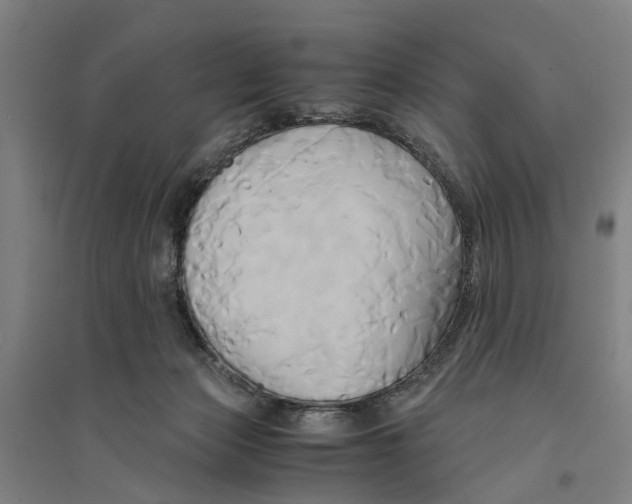 X0000094370173200711301457