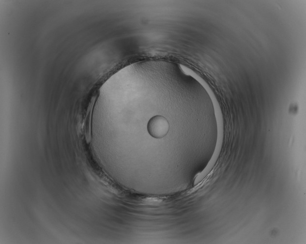 X0000094370176200711301457