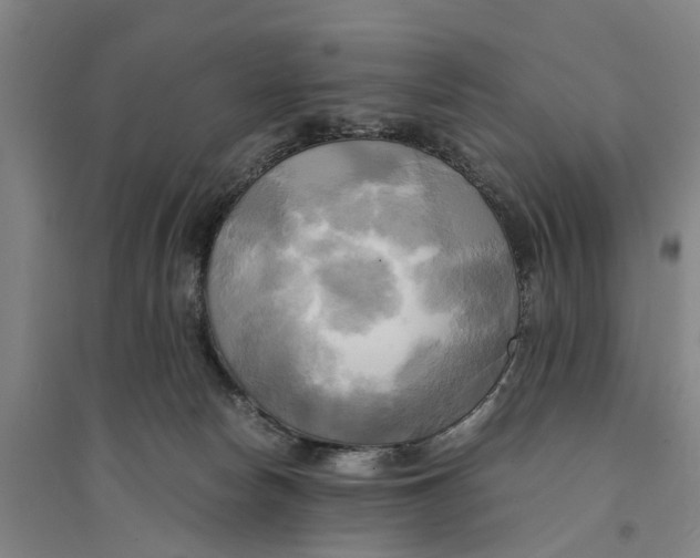 X0000094370178200711301457