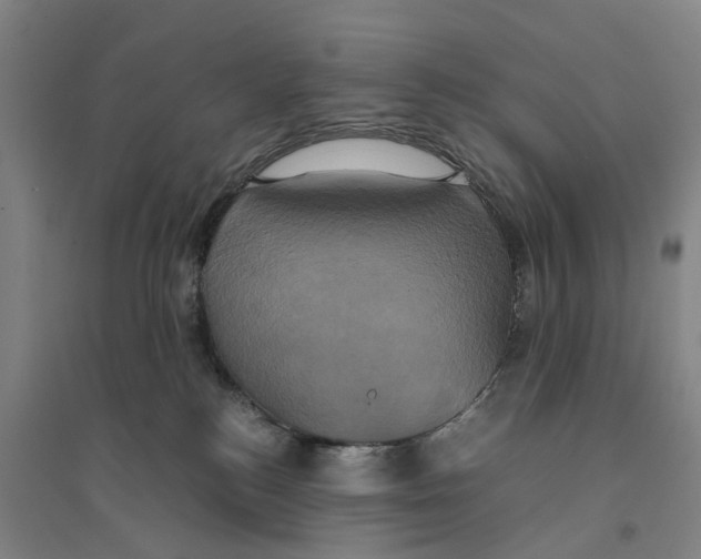 X0000094370184200711301457