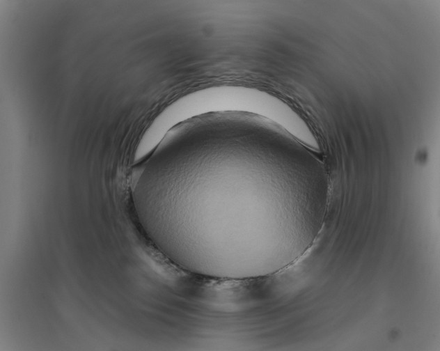 X0000094370186200711301457