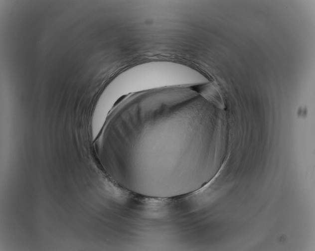 X0000094370192200711301457