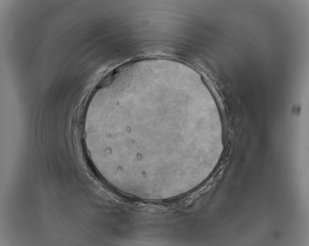 X0000094370193200711301457