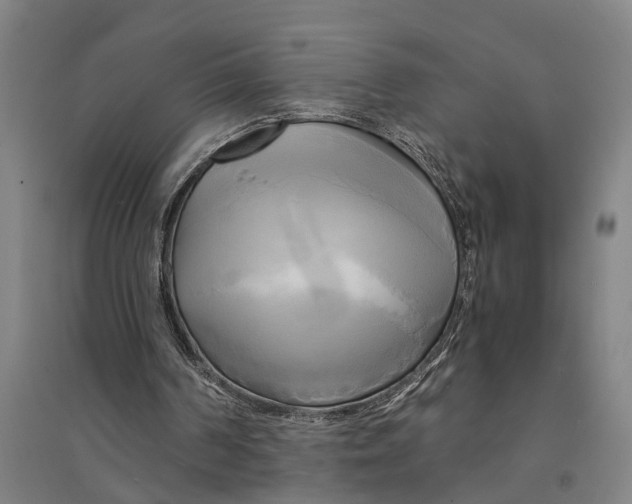 X0000094370194200711301457