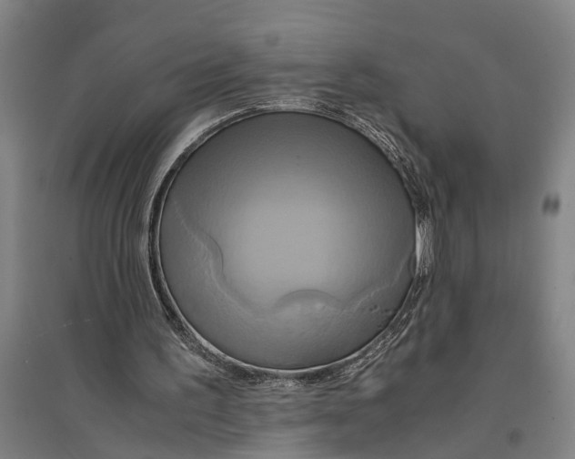 X0000094370195200711301457