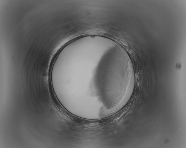 X0000094370196200711301457