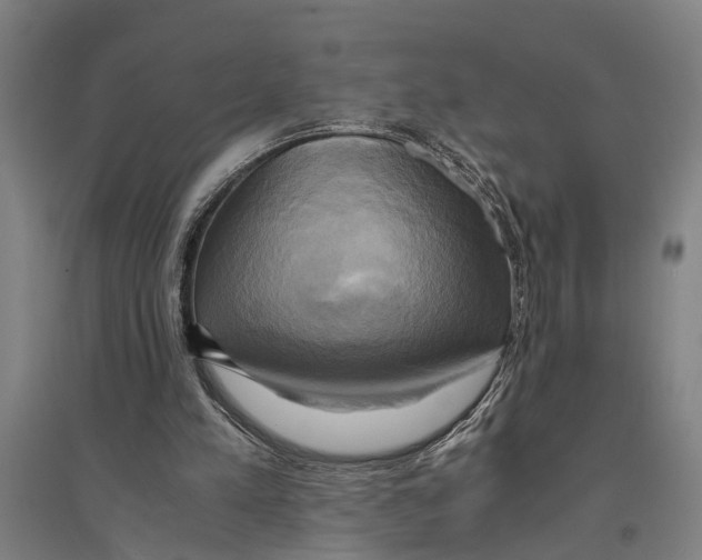 X0000094370197200711301457