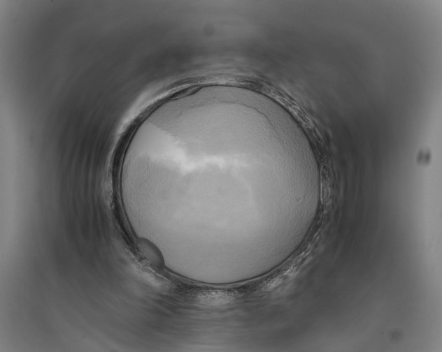 X0000094370198200711301457