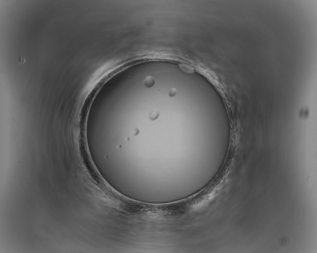 X0000094370199200711301457