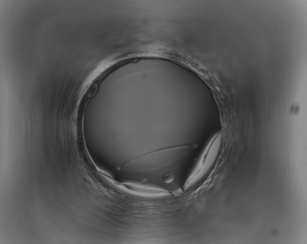 X0000094370200200711301457