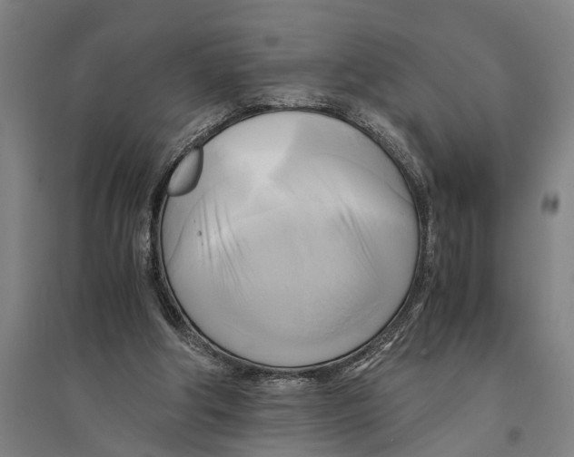 X0000094370202200711301456