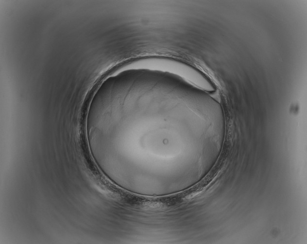 X0000094370203200711301456