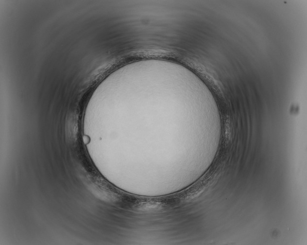 X0000094370206200711301456