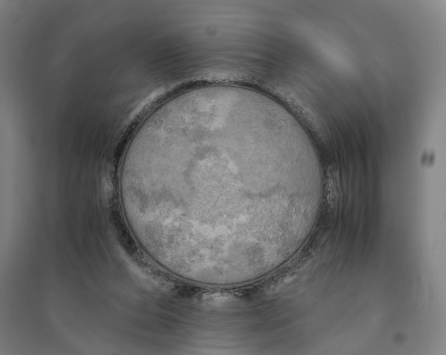 X0000094370208200711301456