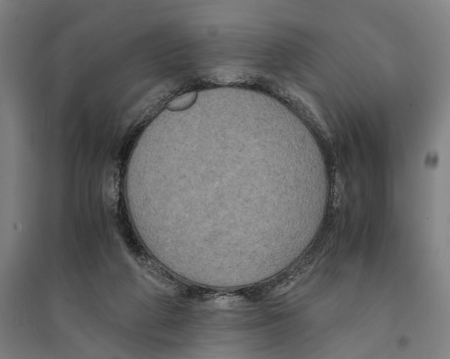 X0000094370210200711301456