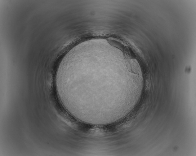 X0000094370211200711301456