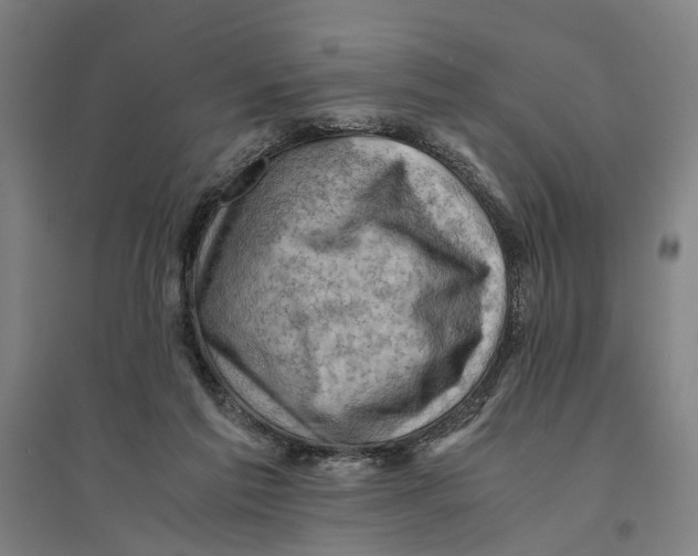 X0000094370213200711301456