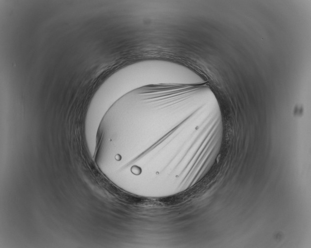 X0000094370215200711301456