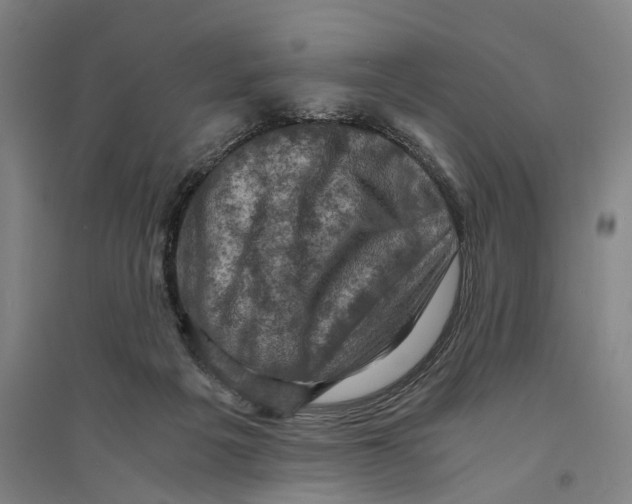 X0000094370217200711301456