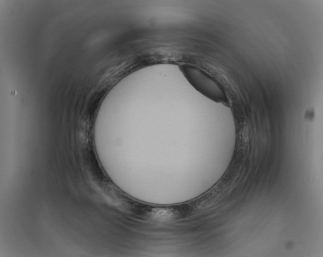 X0000094370218200711301456