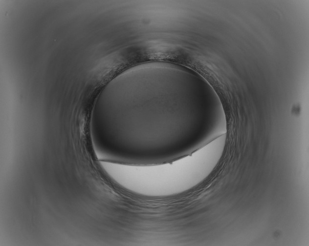 X0000094370219200711301456