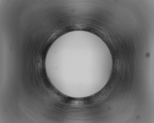 X0000094370220200711301456