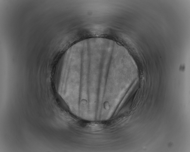 X0000094370221200711301456