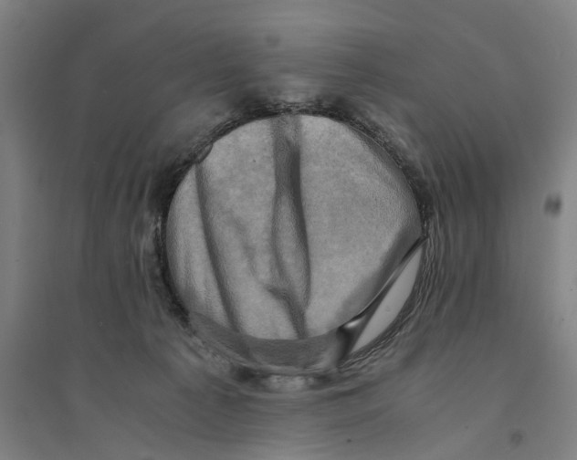 X0000094370225200711301456