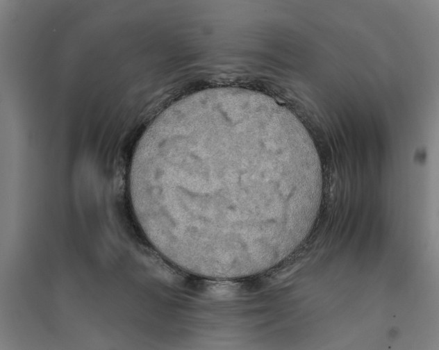 X0000094370226200711301456