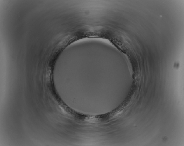 X0000094370231200711301456