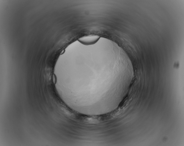 X0000094370232200711301456